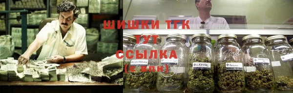 дмт Абинск