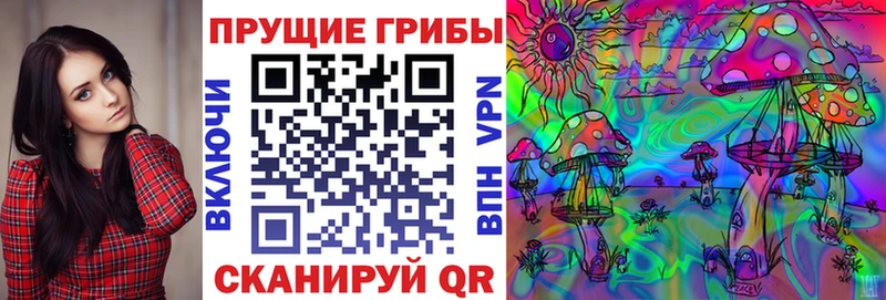 Галлюциногенные грибы GOLDEN TEACHER  blacksprut маркетплейс  Питкяранта 